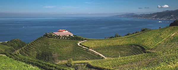 Euskaltel - % 100 ekonomikoa